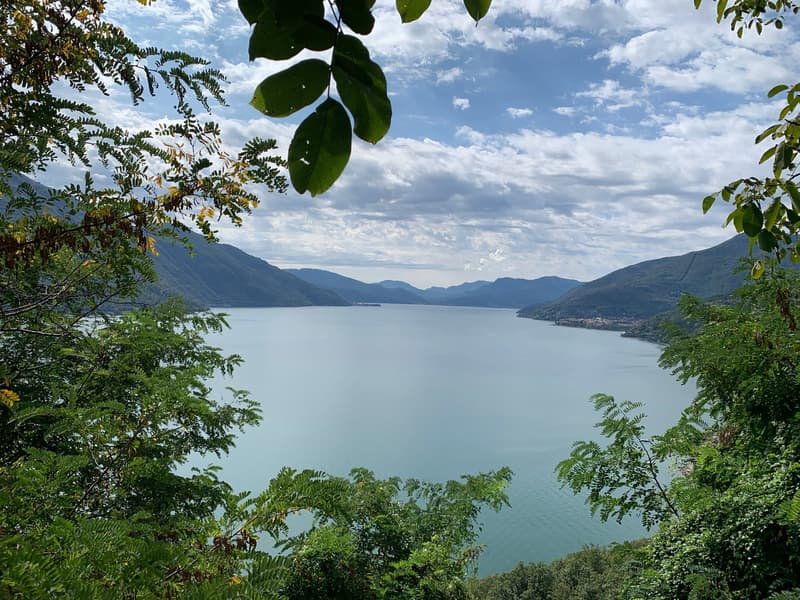 Wiesen- und Waldgrundstück mit einmaliger Sicht in Brissago (5)