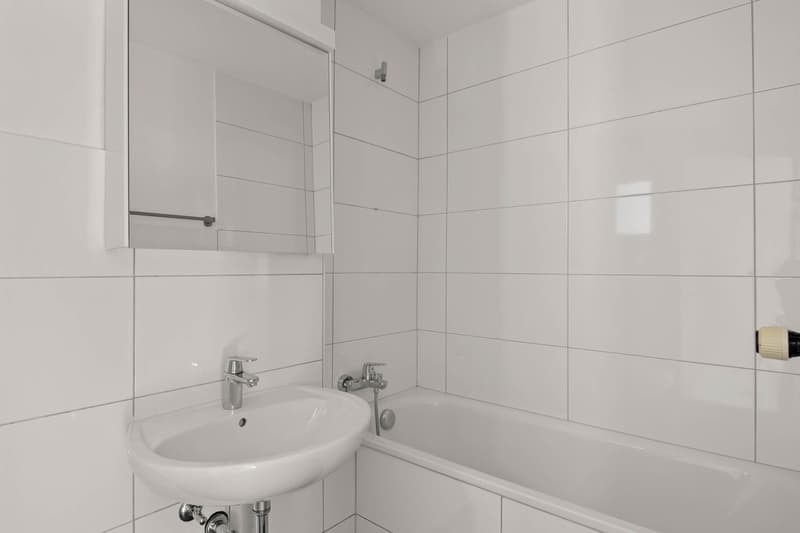 Mehrfamilienhaus mit 14 Wohnungen (5)