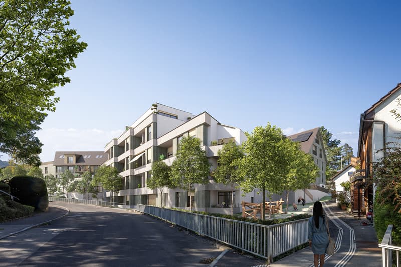 MIRRO : Habitation moderne sur le site de l'ancienne fabrique de miroirs (3)