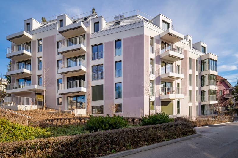Premier occupant : Appartement mansarde de haute qualité avec toit-terrasse panoramique privé (8)