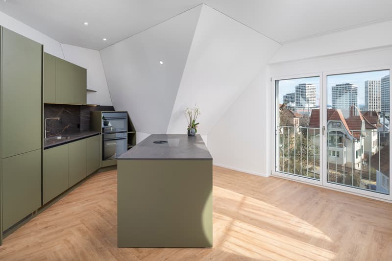 Premier occupant : Appartement mansarde de haute qualité avec toit-terrasse panoramique privé (2)