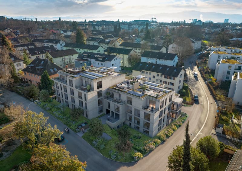 BELLEJOUR - Vivre au paradis dans le district 6 / Quartier d'Allenmoos (9)