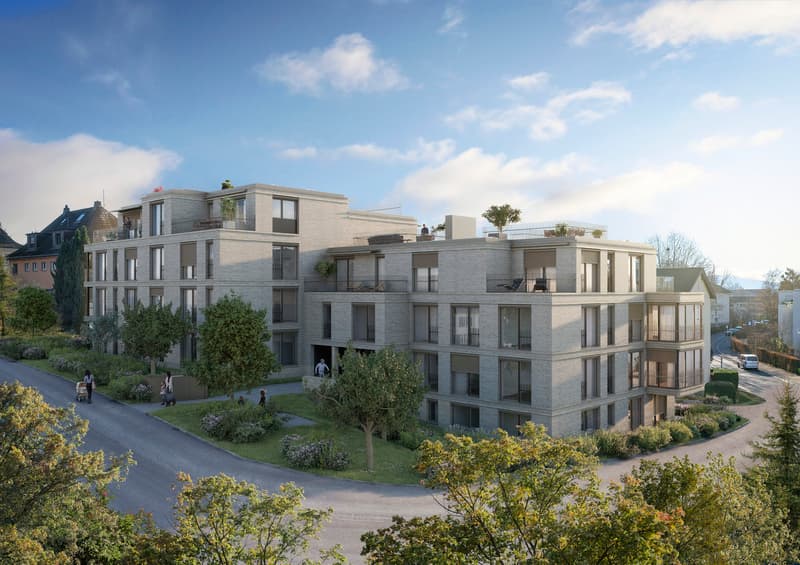 BELLEJOUR - Vivre au paradis dans le district 6 / Quartier d'Allenmoos (8)
