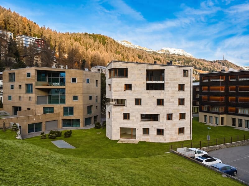 Elegant secondary residences in sculptural architecture Chalavus (1)
