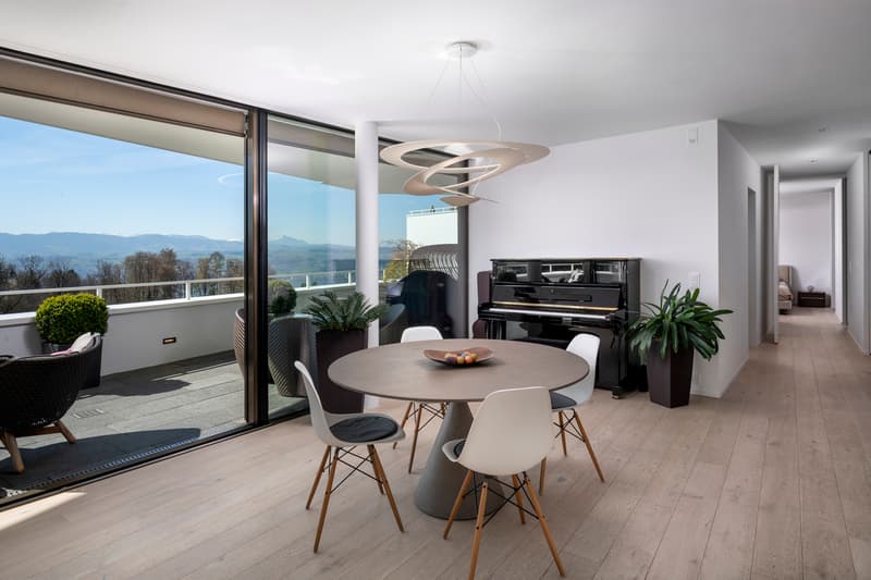 Stylish and ultra-modern ownership apartment on Lake Zurich (4)