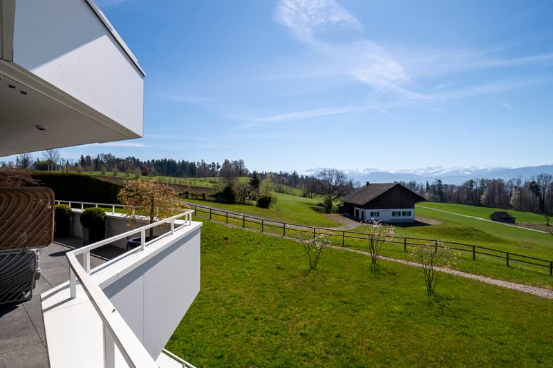 Stylish and ultra-modern ownership apartment on Lake Zurich (9)