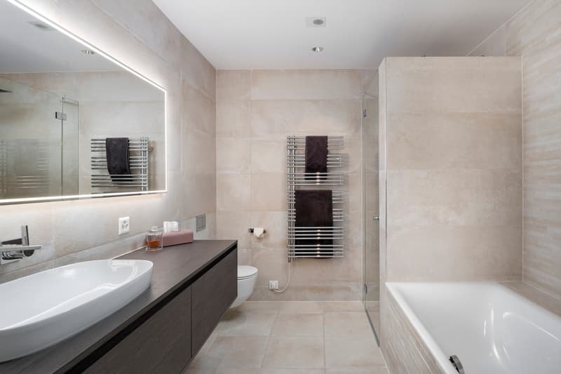 Stylish and ultra-modern ownership apartment on Lake Zurich (6)