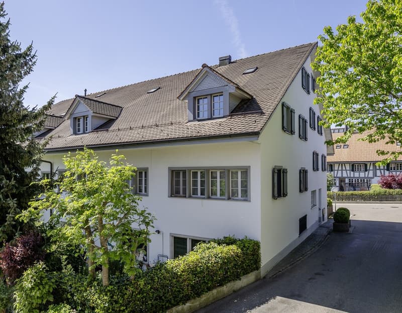 Renovierte, heimelige Dachgeschoss-Maisonettewohnung (1)