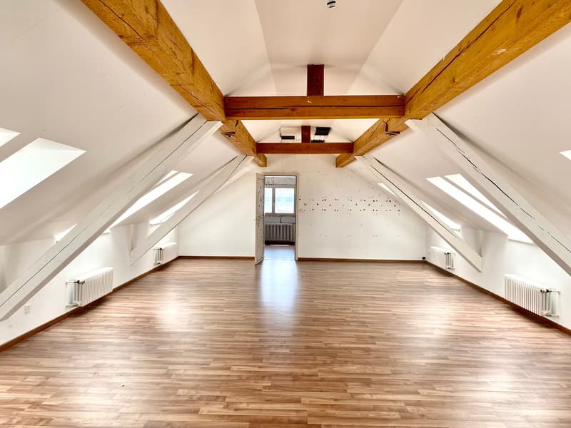Flexible space for creative work or office (2)