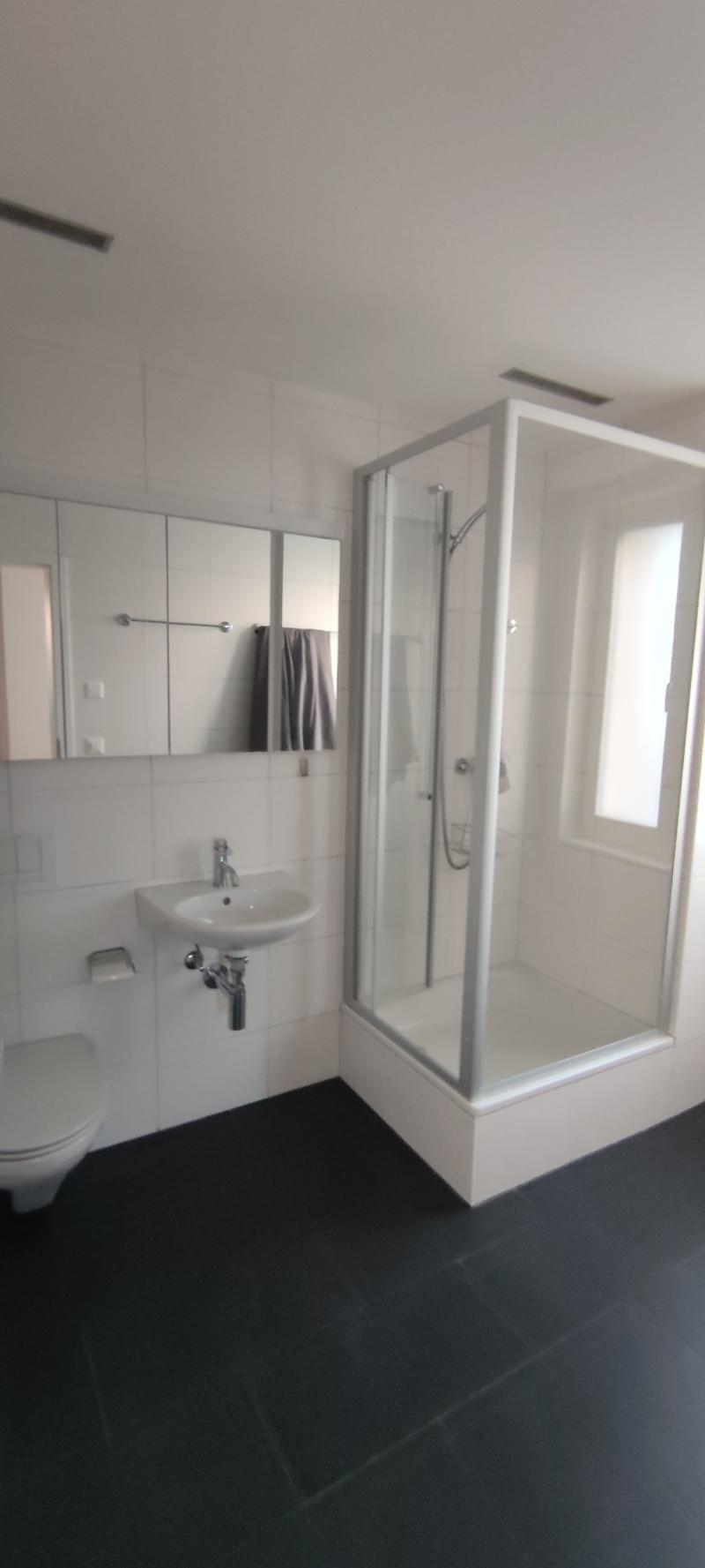 Urban 3.5-room single-family house with 1-room annex and parking space in Winterthur (14)