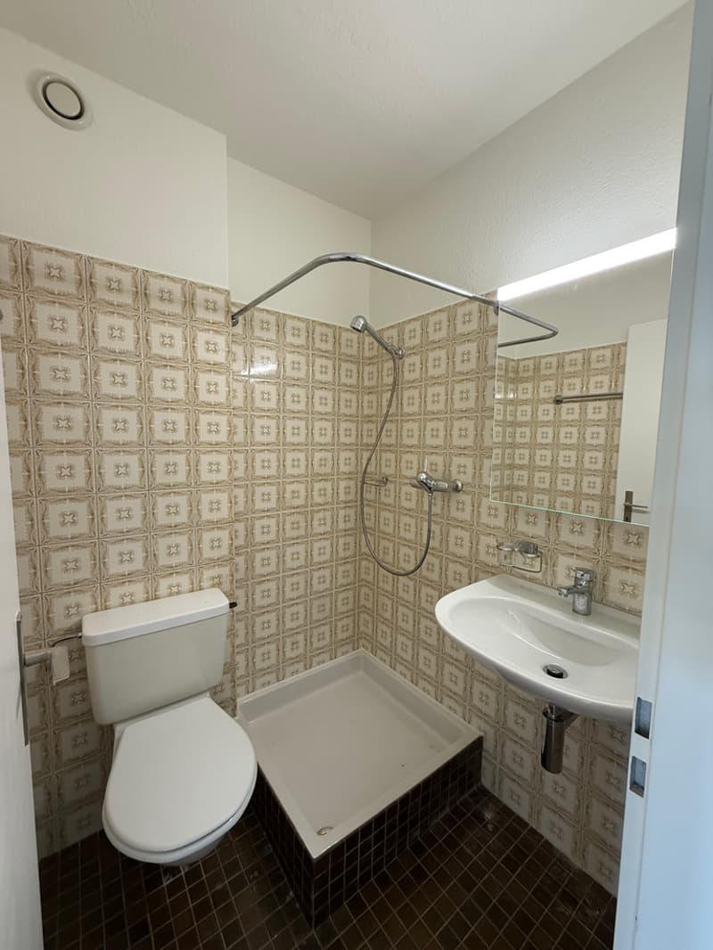 Appartement meublé 1 pièce (n° 19) (3)