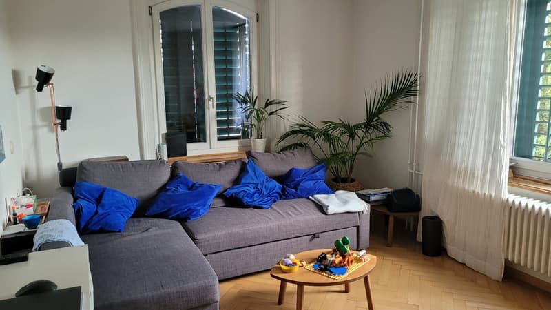 Bild6.jpg