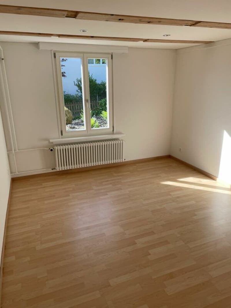 Renovierte 2-Zimmerwohnung im Erdgeschoss (5)