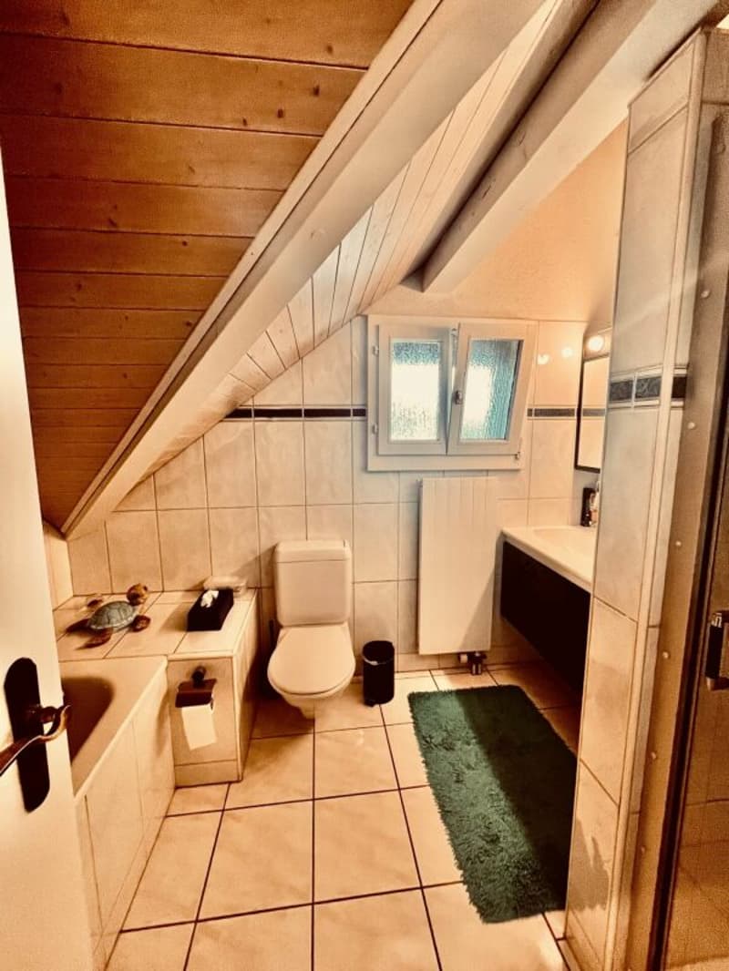 Charmante 4 1/2-Zimmer-Dachwohnung mit viel Cachet (5)