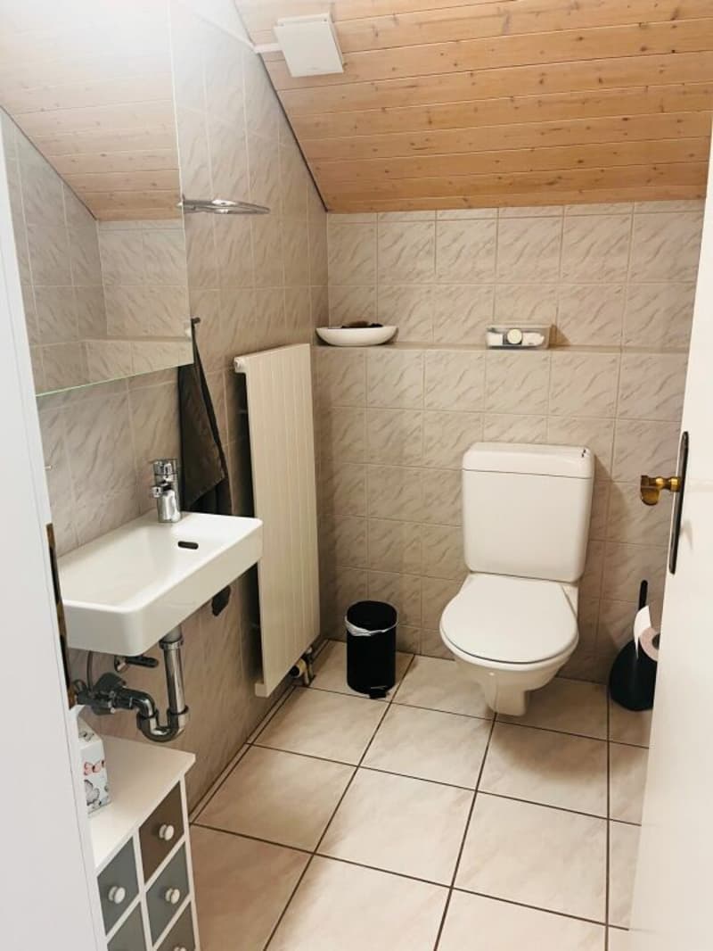 Charmante 4 1/2-Zimmer-Dachwohnung mit viel Cachet (4)
