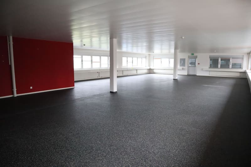 Edificio uffici spazioso e moderno in affitto (2)