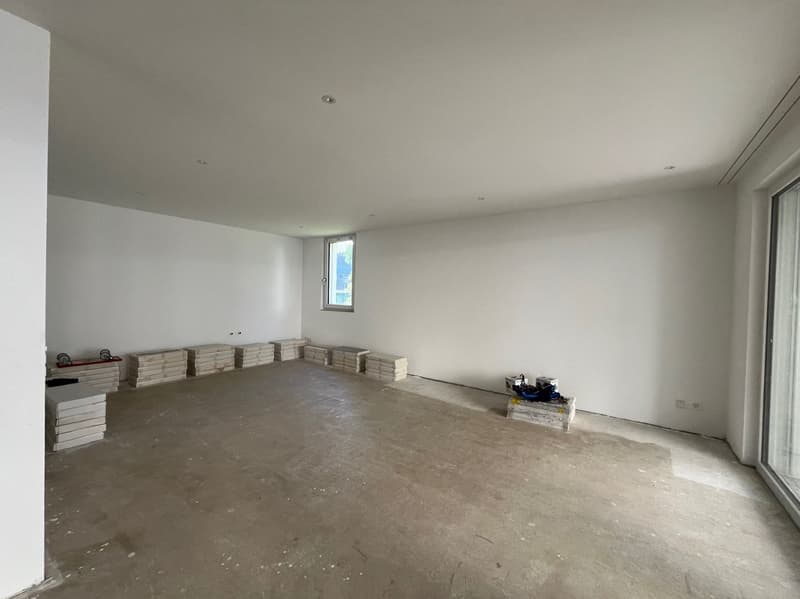 Espace commercial dans un excellent emplacement, près de la ville d'Olten ! (5)