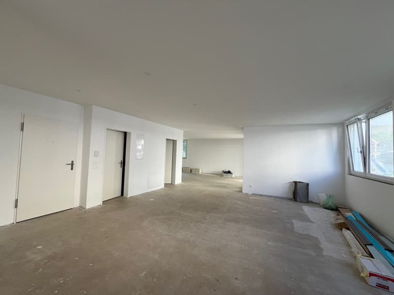 Espace commercial dans un excellent emplacement, près de la ville d'Olten ! (4)