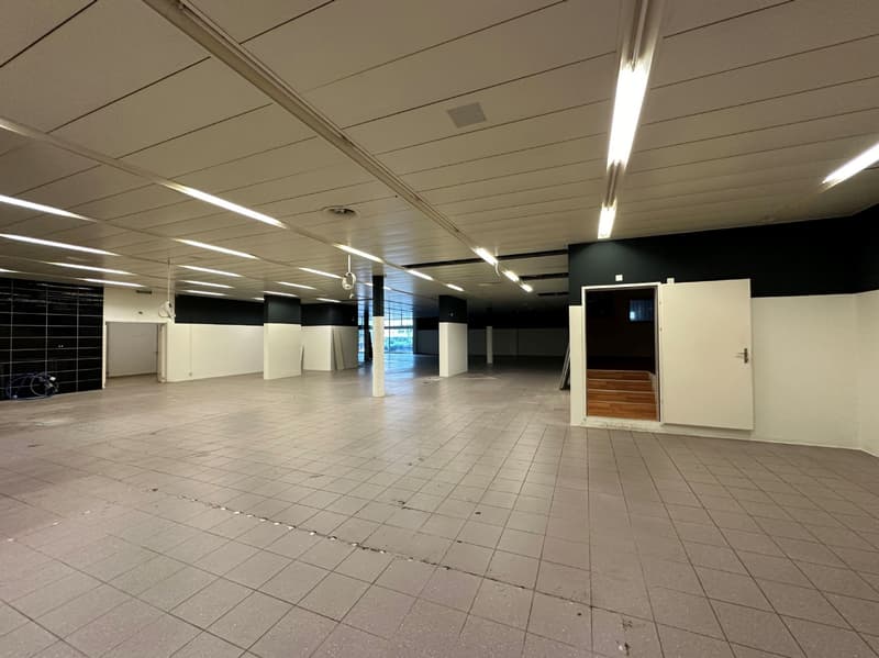 Attraktive Gewerberäumlichkeit mit Einstellhalle und großem Lager! (8)