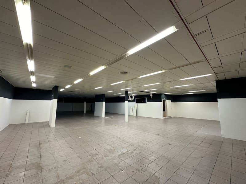 Attraktive Gewerberäumlichkeit mit Einstellhalle und großem Lager! (5)