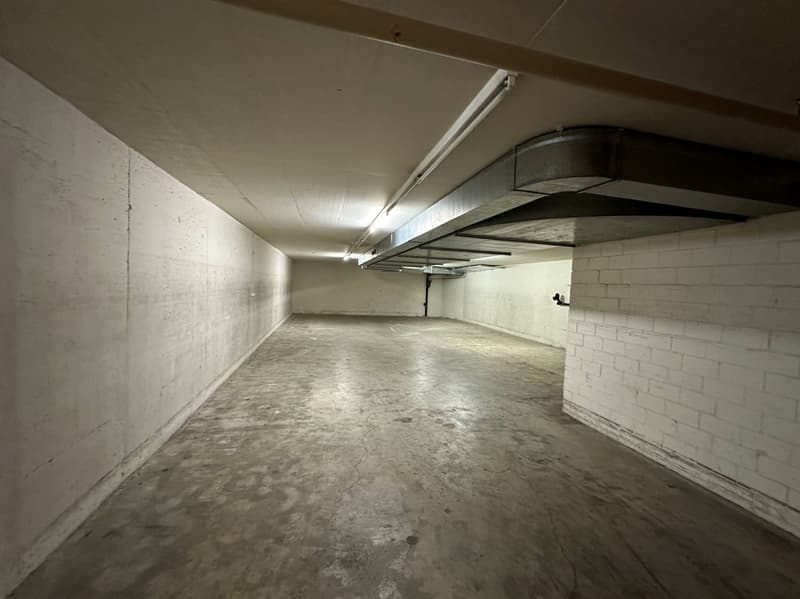 Attraktive Gewerberäumlichkeit mit Einstellhalle und großem Lager! (11)