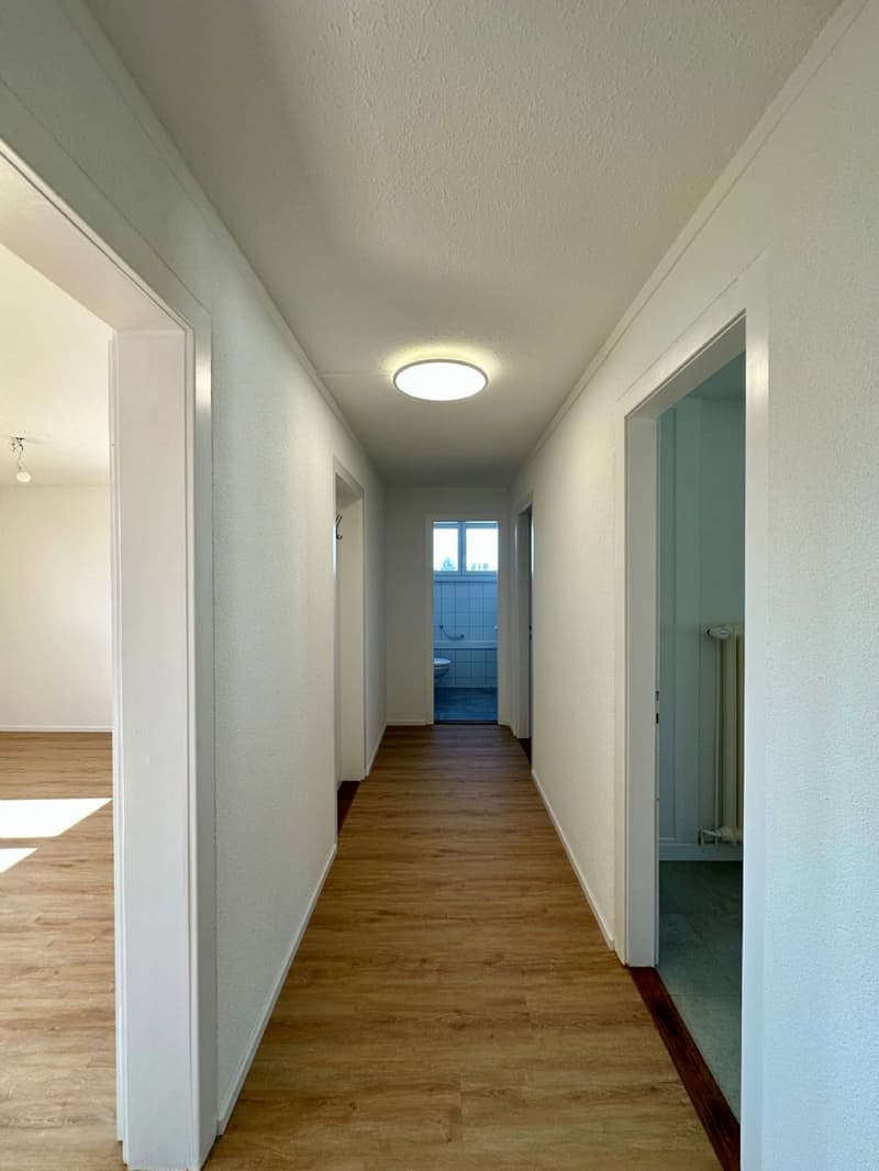 Frisch sanierte und helle 2.5-Zimmerwohnung an zentraler Lage zu vermieten! (7)