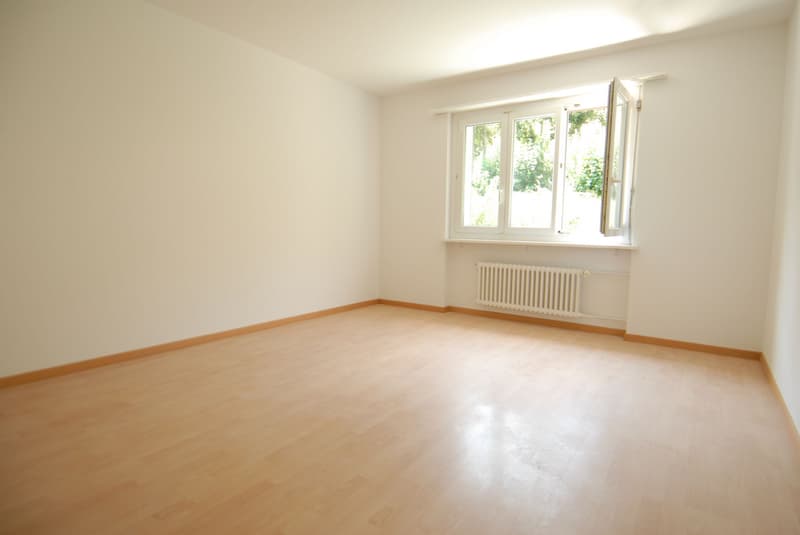 Totalsanierte Wohnung in ruhigem Quartier! (5)