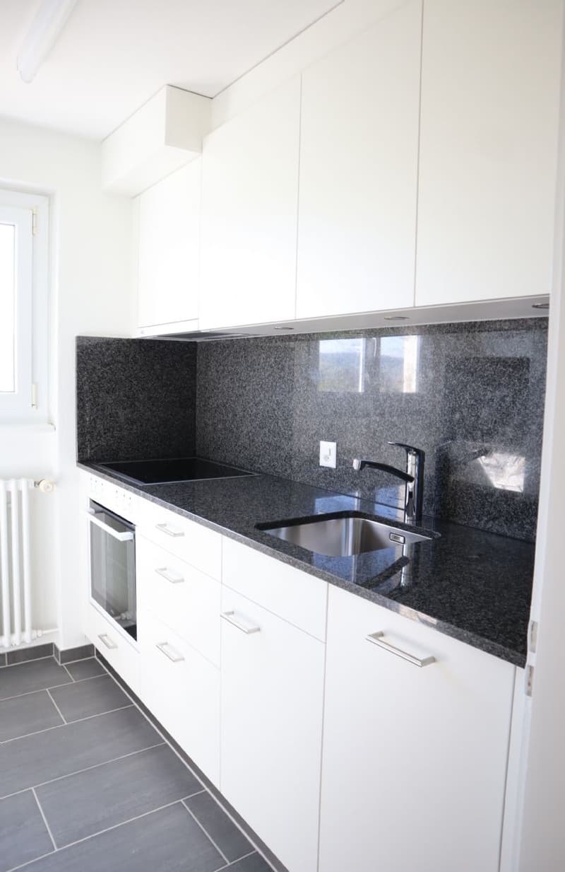 Totalsanierte Wohnung in ruhigem Quartier! (1)
