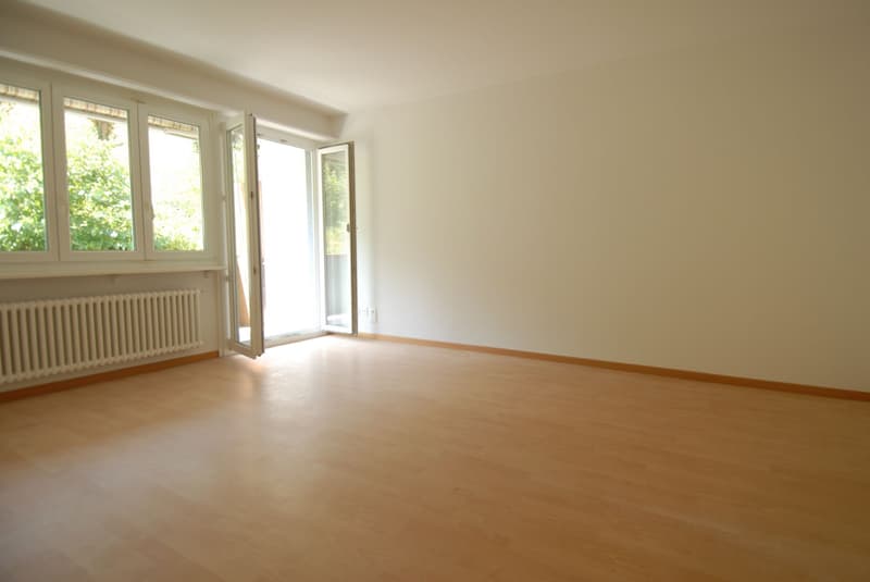 Totalsanierte Wohnung in ruhigem Quartier! (4)