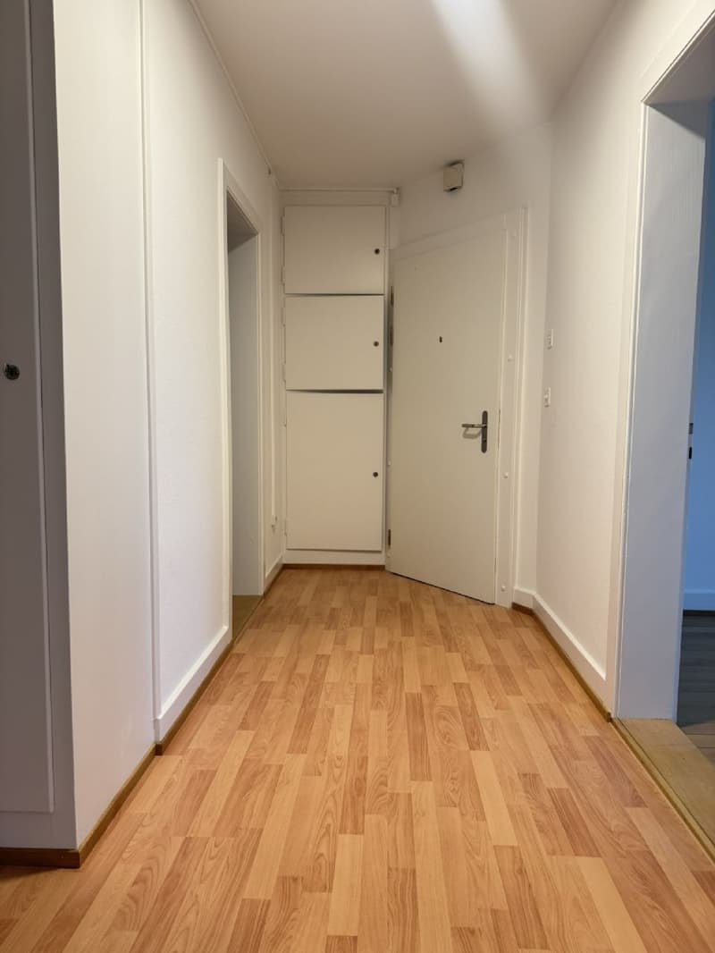 Habiter dans un emplacement central entre Olten/Aarau, près des transports en commun/commerces (7)