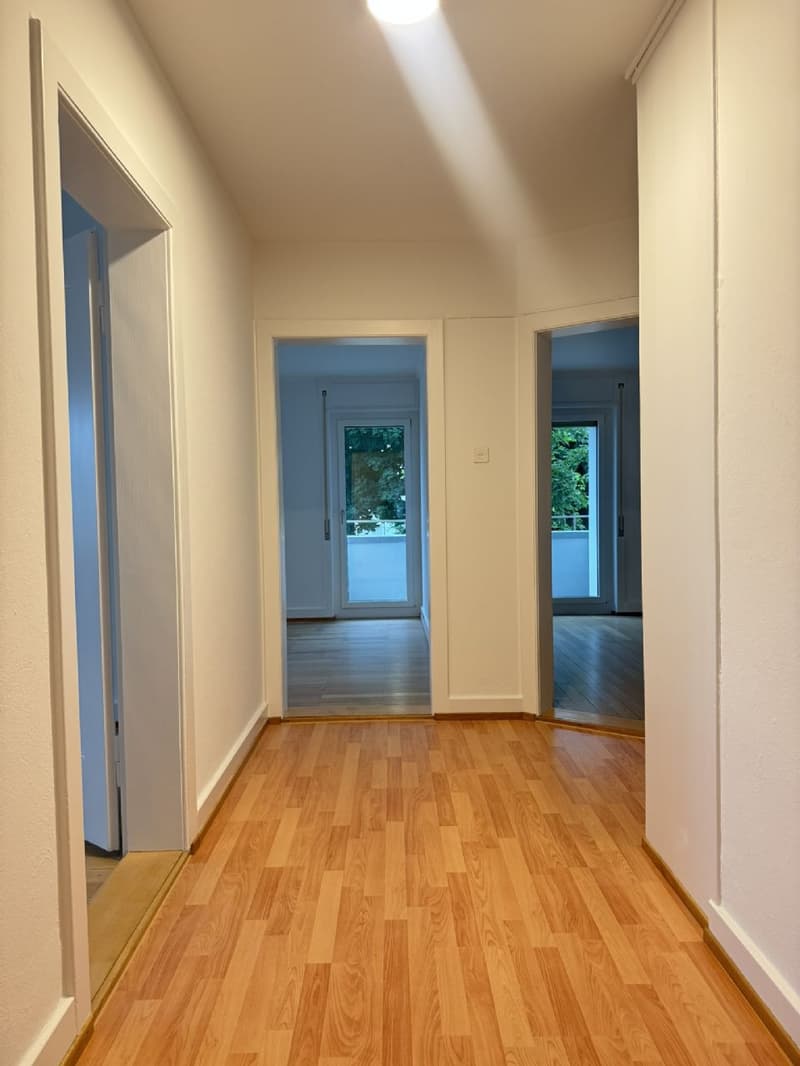 Habiter dans un emplacement central entre Olten/Aarau, près des transports en commun/commerces (8)