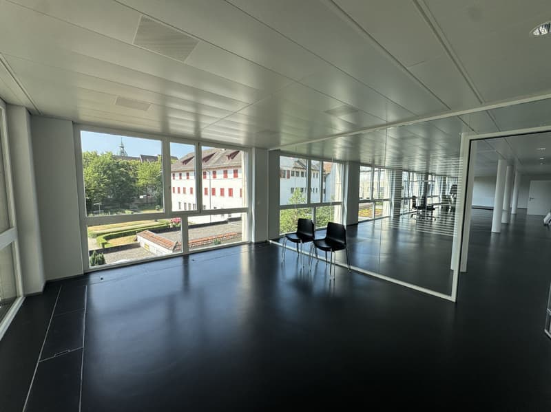 Office space on the 2nd floor east with garden terrace (2)