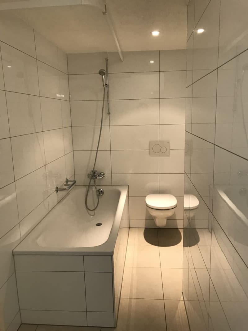 Heimelige Wohnung an ruhiger Lage im Herzen der Stadt Olten! (3)