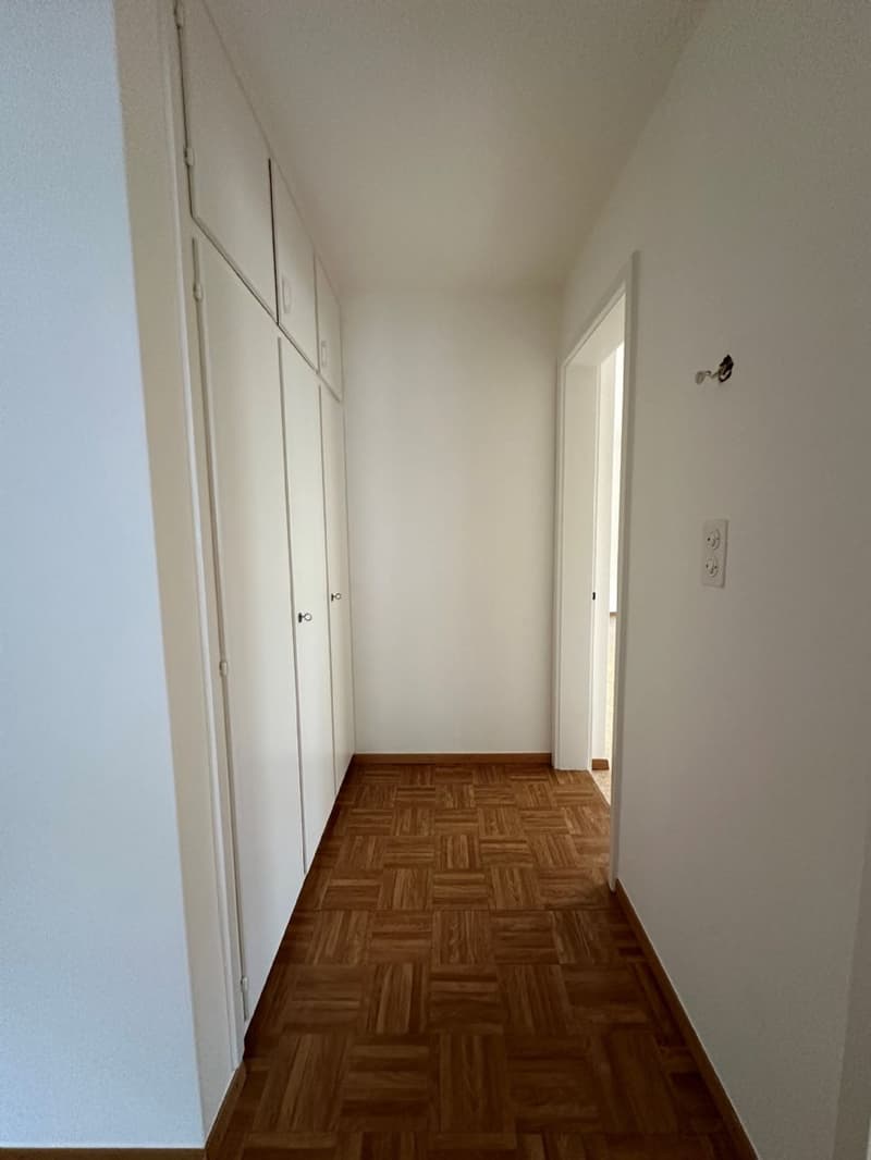Helle, ruhig gelegene Wohnung Nähe Stadt zu vermieten! (6)