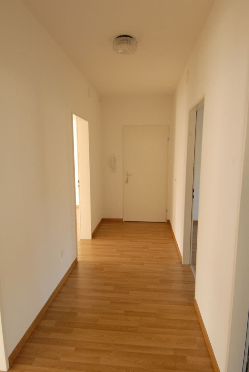 Appartamento affascinante in un quartiere tranquillo, vicino ai trasporti pubblici/centro città! (6)