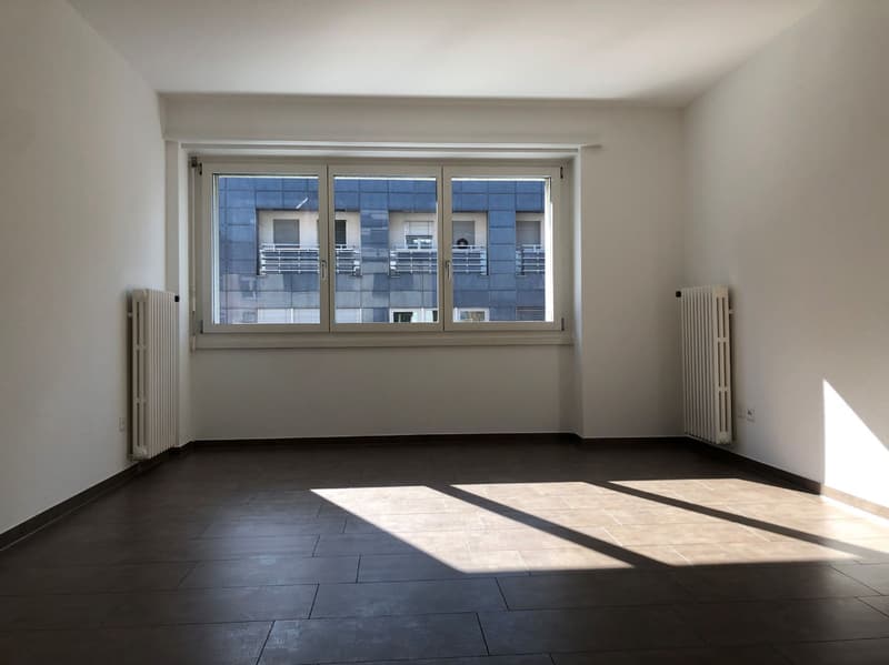 Ideale Pendler-Wohnung! An Top-Lage, Nähe Stadtzentrum, Einkauf und ÖV. (1)
