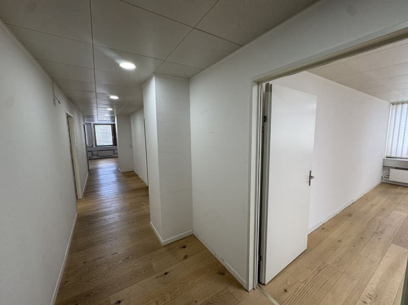 Repräsentative Gewerbefläche mit 284m2 an zentraler Lage (12)