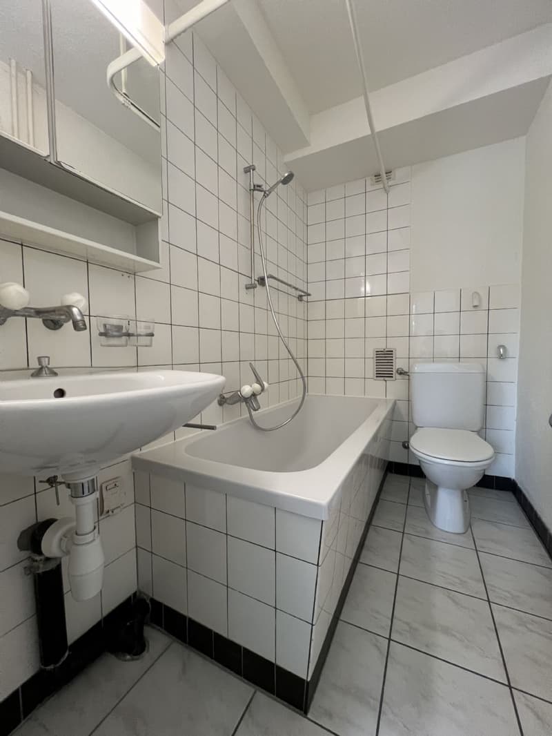 Appartement convivial pour les enfants à proximité des commerces et des transports en commun ! (3)