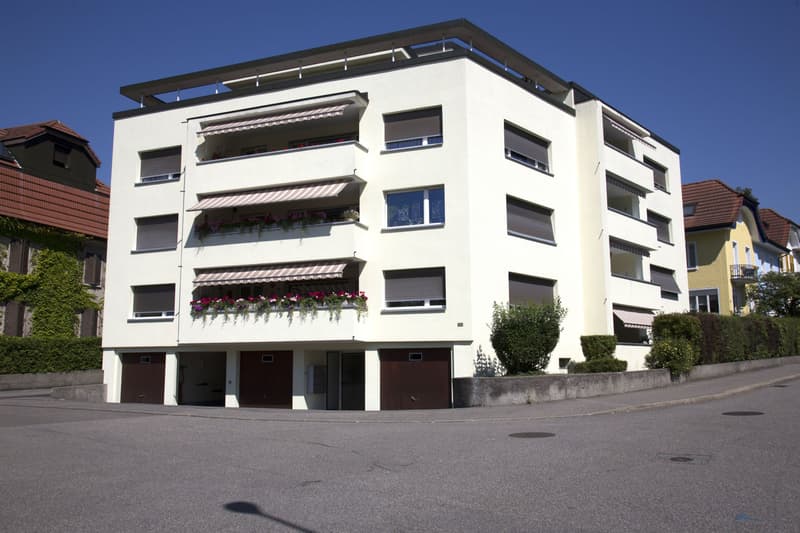 Exclusive apartment with character, combining living and working! (1)