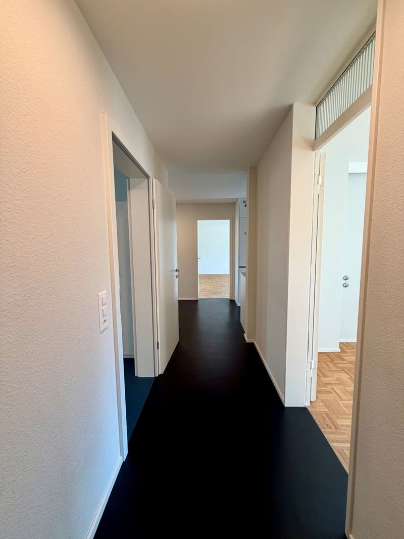 Traumwohnung im Zentrum von Olten zu vermieten (11)