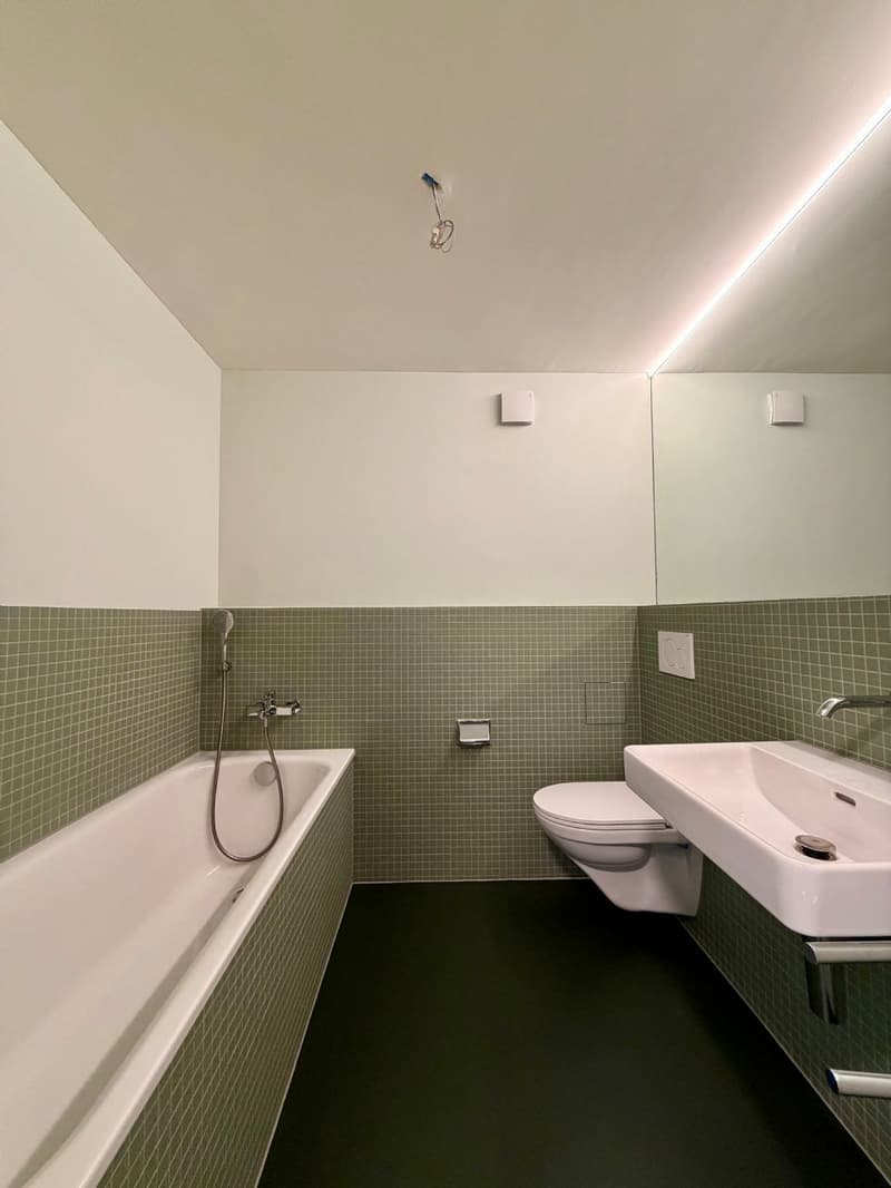 Traumwohnung im Zentrum von Olten zu vermieten (4)