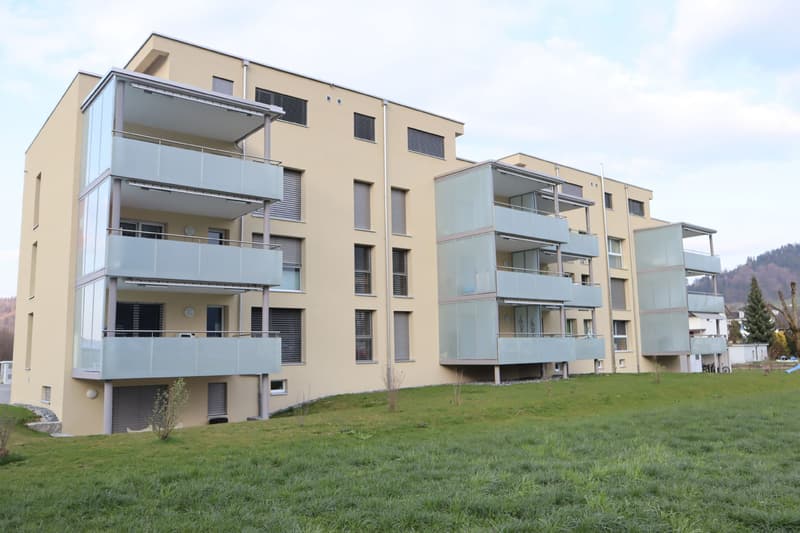 Attikawohnung mit grosser Terrasse! (7)