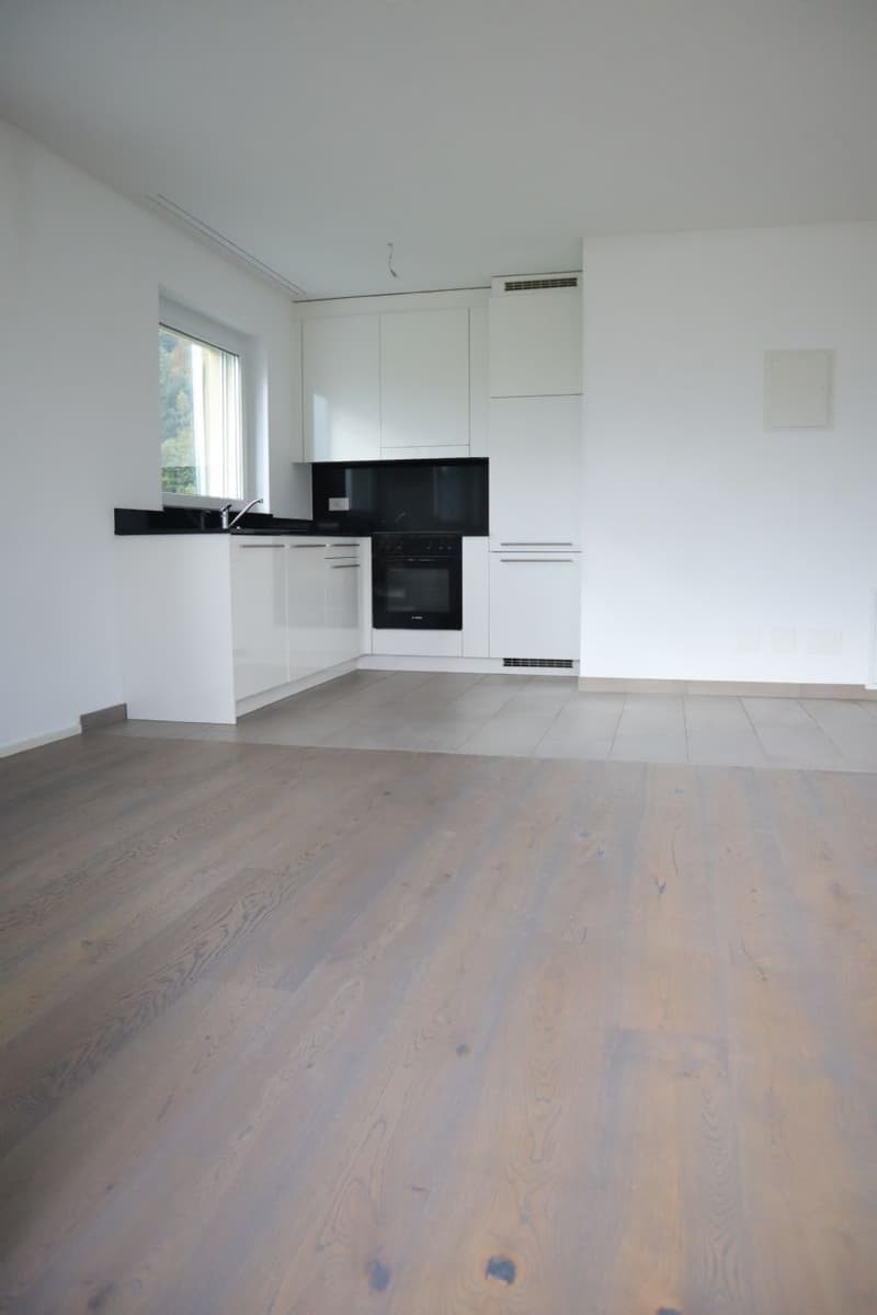 Attikawohnung mit grosser Terrasse! (2)