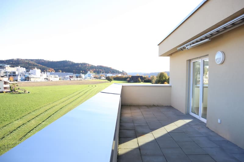 Attikawohnung mit grosser Terrasse! (1)