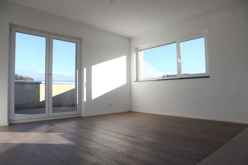 Attikawohnung mit grosser Terrasse! (4)