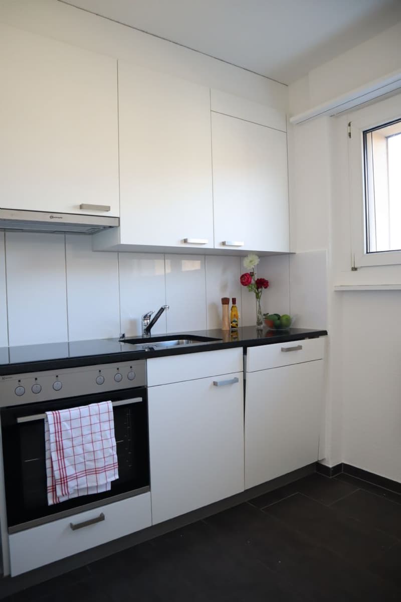 Ihr neues Zuhause mit grossem Balkon, Nähe Schule und Autobahnanschluss! (2)