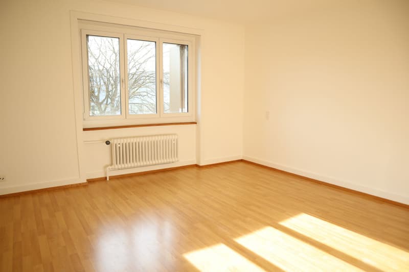 Wohnen Sie im Zentrum von Aarau, direkt an der Aare! (4)
