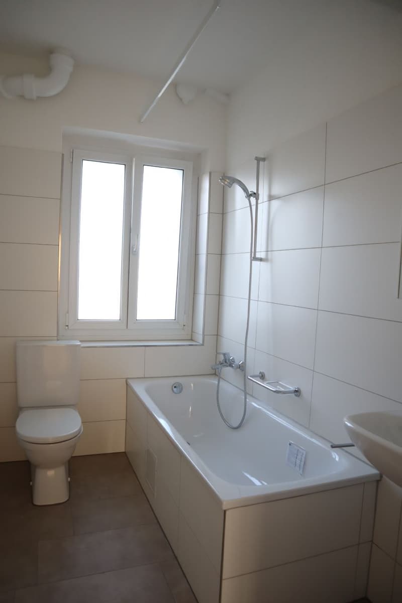 Wohnen Sie im Zentrum von Aarau, direkt an der Aare! (3)