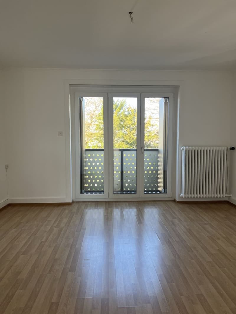 Leben Sie am Puls der Stadt Aarau! (4)