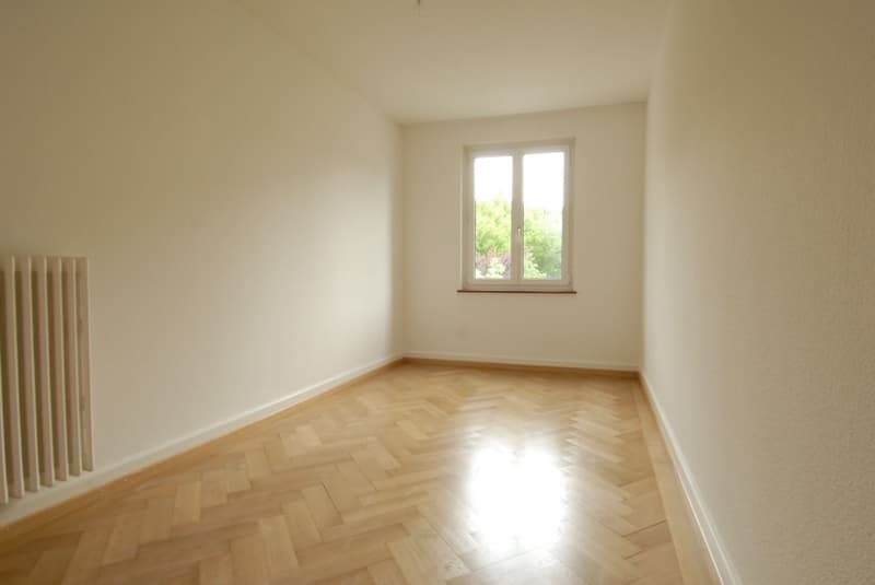 Moderne Altbauwohnung, Nähe Stadtzentrum! (6)